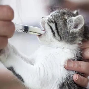 Versatile Large Plastic Syringe Set for All Your Needs