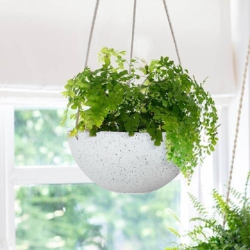 LA Jolie Muse Hanging Planters - 10 inch Garden Pots