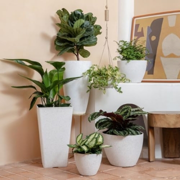 LA Jolie Muse Hanging Planters - 10 inch Garden Pots