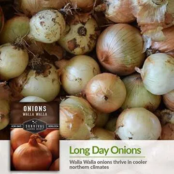 Walla Walla Onion Seeds - Sweet Heirloom Variety