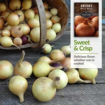 Walla Walla Onion Seeds - Sweet Heirloom Variety