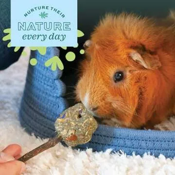 Oxbow Animal Health Timothy Club Timothy Twists 6 Count (Pack of 1)