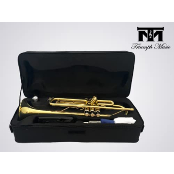 Quality Triumph Bb Trumpet Set for Beginners with Accessories