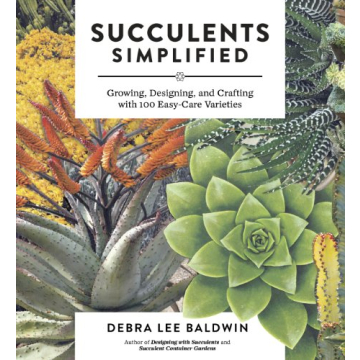 Succulents Simplified: Your Guide to Easy-Care Varieties