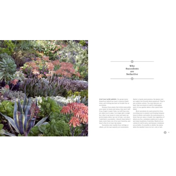 Succulents Simplified: Your Guide to Easy-Care Varieties