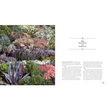 Succulents Simplified: Your Guide to Easy-Care Varieties