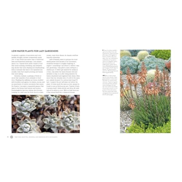 Succulents Simplified: Your Guide to Easy-Care Varieties