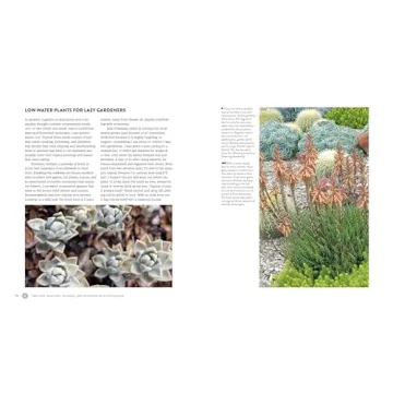 Succulents Simplified: Your Guide to Easy-Care Varieties