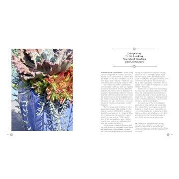 Succulents Simplified: Your Guide to Easy-Care Varieties