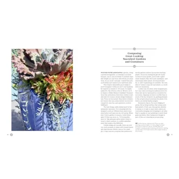 Succulents Simplified: Your Guide to Easy-Care Varieties