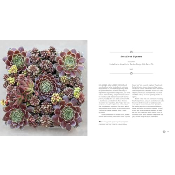 Succulents Simplified: Your Guide to Easy-Care Varieties