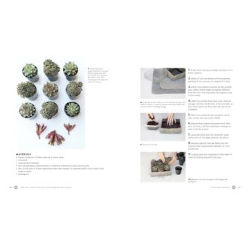 Succulents Simplified: Your Guide to Easy-Care Varieties