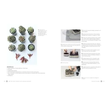 Succulents Simplified: Your Guide to Easy-Care Varieties