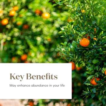 Young Living Abundance Essential Oil Blend - 15 ml - Manifest Prosperity with Orange, Frankincense, Patchouli, Clove, and More - Uplifting Aroma for Joy, Positivity, and Energy