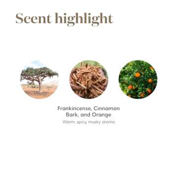 Young Living Abundance Essential Oil Blend - 15 ml - Manifest Prosperity with Orange, Frankincense, Patchouli, Clove, and More - Uplifting Aroma for Joy, Positivity, and Energy