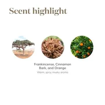 Young Living Abundance Essential Oil Blend - Manifest Joy and Prosperity