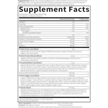 Garden of Life Perfect Food Super Green Formula - 14 Servings | 45 Superfoods, Greens, Fruit & Veggi...