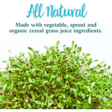 Garden of Life Perfect Food Super Green Formula - 14 Servings | 45 Superfoods, Greens, Fruit & Veggie Juice Superfood Powder Supplement, Probiotics & Organic Spirulina for Digestion & Immune Health