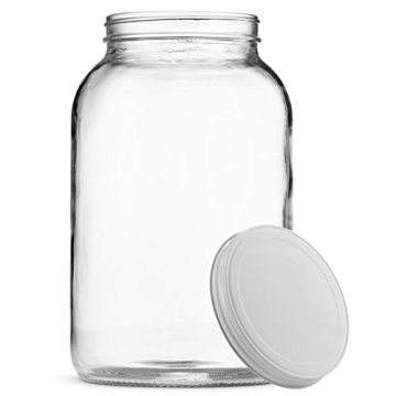 Paksh 1-Gallon Glass Jar with Airtight Lid for Storage