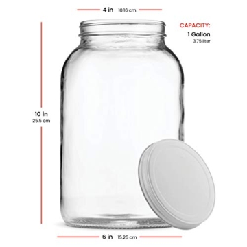 Paksh 1-Gallon Glass Jar with Airtight Lid for Storage