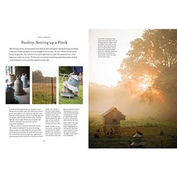 Living the Country Dream: How to create a self-sufficient homestead, grow your own produce and raise livestock