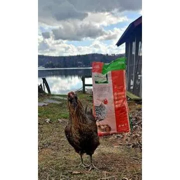 Nutrena Country Feeds Layer Crumble Chicken Feed 50 Pounds