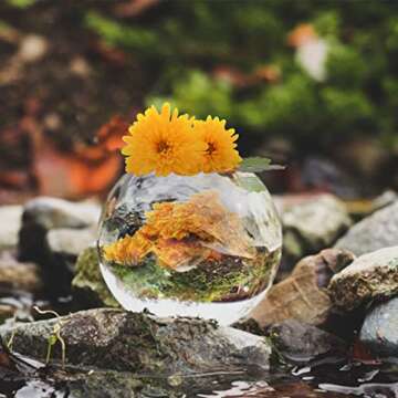 Mlife Natural Dried Flower Herbs Kit - 180g Dried Flower for Soap, Candle, Resin Jewelry Making, Bath Bombs, Floral Water, Nails Decorations - Rose, Lavender, Jasmine and etc.(12 Bags / 0.5 oz Each)