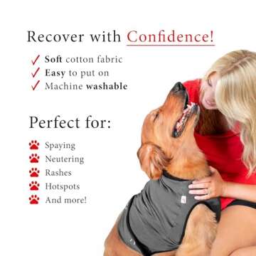 BellyGuard Recovery Suit for Dogs Comfort & Care