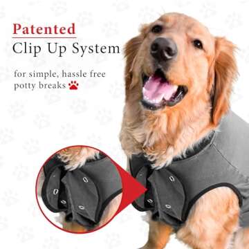BellyGuard Recovery Suit for Dogs Comfort & Care