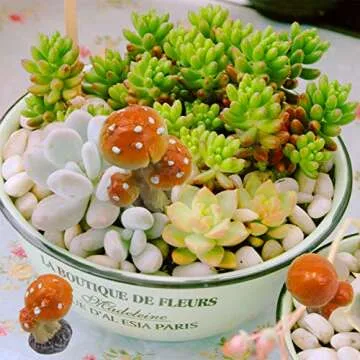 ODDIER 3pcs Resin Mushroom Miniature Fairy Garden Decoration Accessories Garden Sculptures Statues,Yard Garden Decor for Outside Gnomes Outdoor Decor for Patio Zen Garden