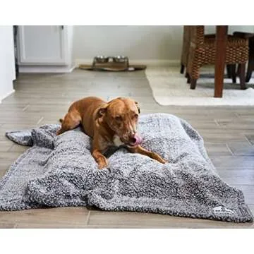 Pet Parents Premium Pet Blanket for All Size Pets