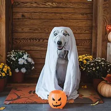 UINI Halloween Door Mat, Outdoor Indoor Happy Halloween Welcome Mats with Bat and Moon, Non Slip Halloween Decorative Entrance Front Door Mats Rug, 17" x 30"