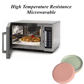 Wheat Straw Lightweight Unbreakable Plates Set - 6 Pack