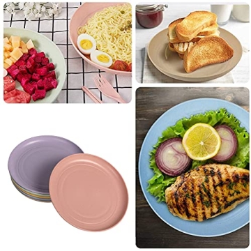 Wheat Straw Lightweight Unbreakable Plates Set - 6 Pack