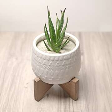 Royal Ram Natural Decorative Sand for Interior Decor, Vase Filler, Sand Crafts and More