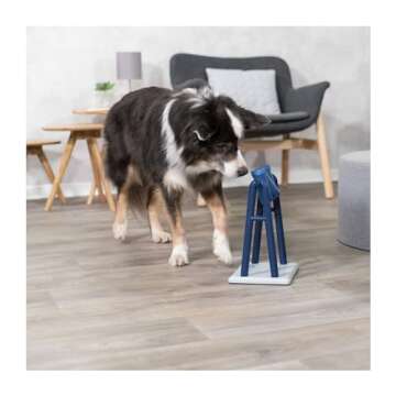 TRIXIE Mad Scientist Turn Around Dog Puzzle Toy, Intermediate (Level 2) Strategy Game, Dog Activity Treat Toy for Dogs