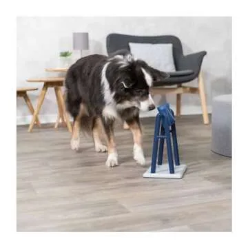 Mental Stimulation TRIXIE Mad Scientist Dog Puzzle Toy