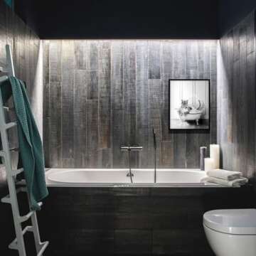 Funny Bathtub Tiger Wall Art for Stylish Homes