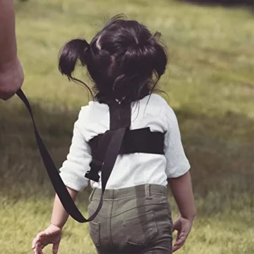 Diono Sure Steps Toddler Harness for Child Safety