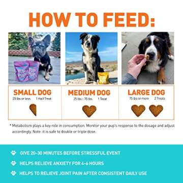 YUP PUP Natural Dog Treats - Healthy Snacks for Dogs That Promote Smooth Digestion, Joint Pain Relief, and Anxiety Relief - All-Natural Biscuits with Probiotics & Antioxidants (Peanut Butter)