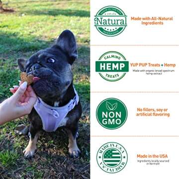 YUP PUP Natural Dog Treats - Healthy Snacks for Dogs That Promote Smooth Digestion, Joint Pain Relief, and Anxiety Relief - All-Natural Biscuits with Probiotics & Antioxidants (Peanut Butter)