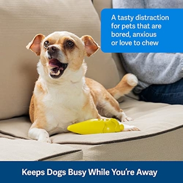 PetSafe Frosty Cone – Interactive Chew Toy for Dogs