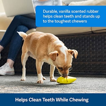 PetSafe Frosty Cone – Interactive Chew Toy for Dogs