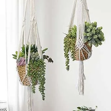 Winlyn 22 Pcs Bulk Artificial Succulents Plants Unpotted Small Aloe Hanging String of Pearls Cactus Green Fake Succulents for Succulent Garden Arrangement Centerpiece Wall Indoor Outdoor Home Decor