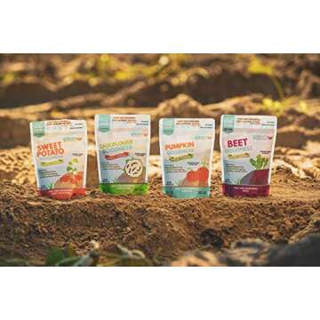 Glean Pumpkin Goodness | Gluten Free Pumpkin Flour and Powder | Paleo, Vegan, Low Sugar | Great for baking breads, pumpkin muffins, and cookies | 16 oz. (1 lb)