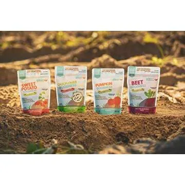 Glean Pumpkin Goodness | Gluten Free Pumpkin Flour and Powder | Paleo, Vegan, Low Sugar | Great for baking breads, pumpkin muffins, and cookies | 16 oz. (1 lb)