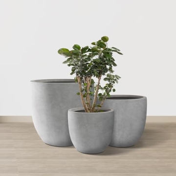 Kante Round Concrete Planters Set of 3 for Modern Decor