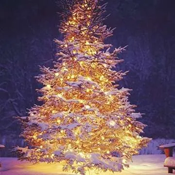 Twinkle Star 100 LED String Light for Wedding Party Bedroom,33 ft for Plug in String Lights 8 Modes Waterproof for Indoor Outdoor (*Warm White, 33 ft)