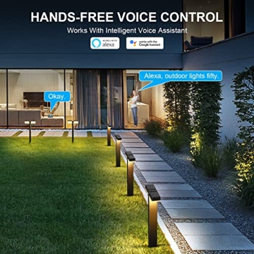 Smart Low Voltage Landscape Lights 4 Pack - XMCOSY+