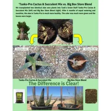 Tank's-Pro Cactus & Succulent Mix 16 qt Premium Soil